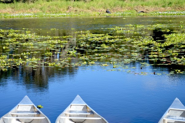 myakka state park