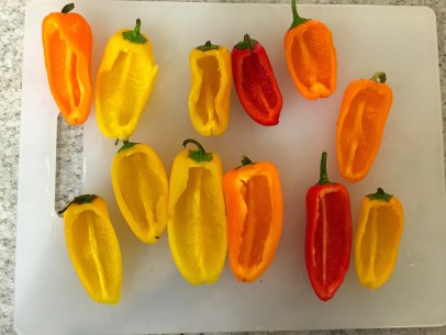 mini pepper appetizer